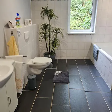 Haus Steindoebra Klingenthal
