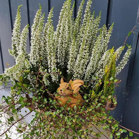 Haus Steindoebra Semesterbostad