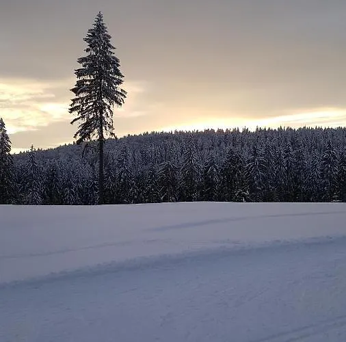 Haus Steindoebra * Klingenthal