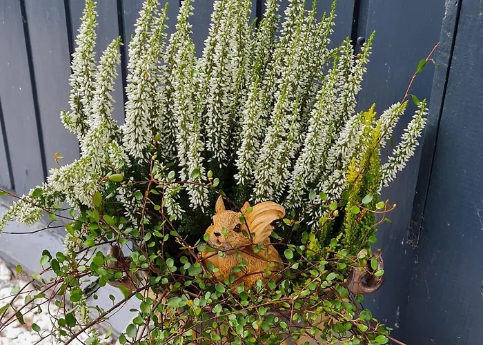 Haus Steindoebra Semesterbostad